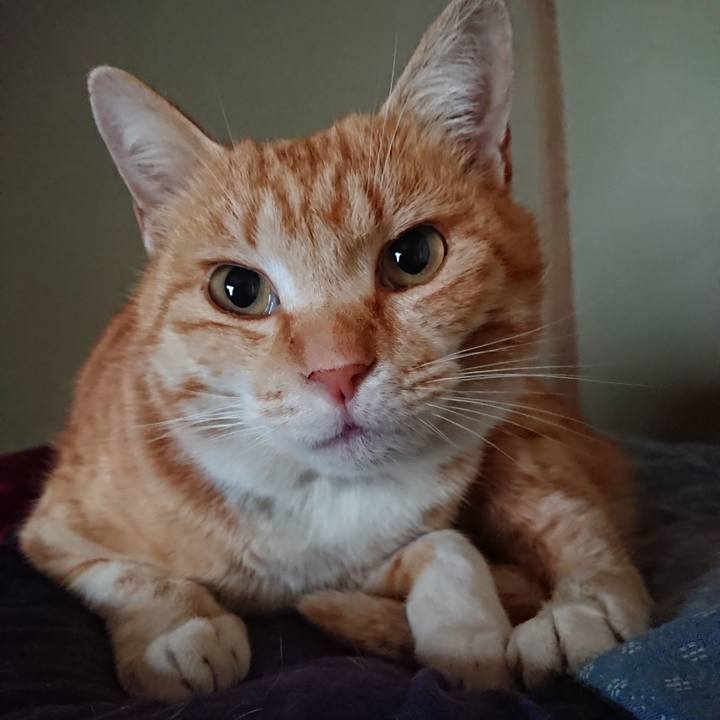 E1572618 2323 4624 be07 9e83c2b5f5fb 1584655470955