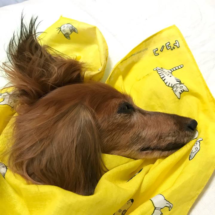 E15756ef 4e4b 4df6 9b68 fa560809d94d 1602249096829