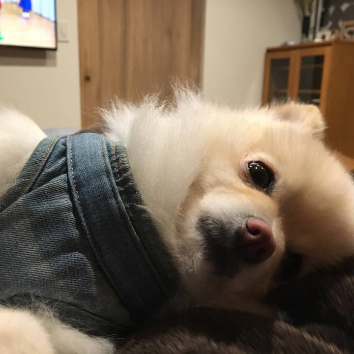 E1579381 b845 49e4 a367 7e4cc237d724 1581895427371