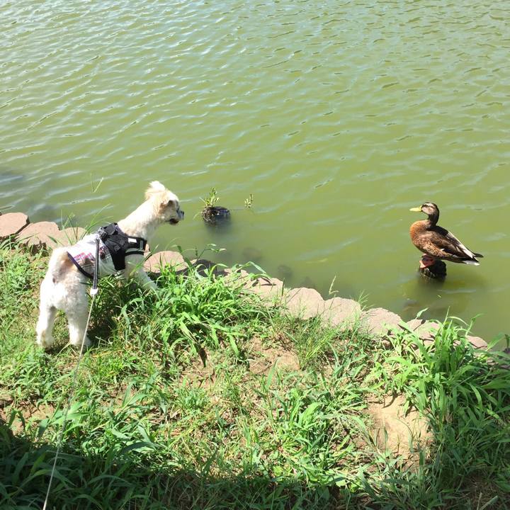 E157b3b8 589f 45ee ab77 ba0de05ffe15 1534306932094