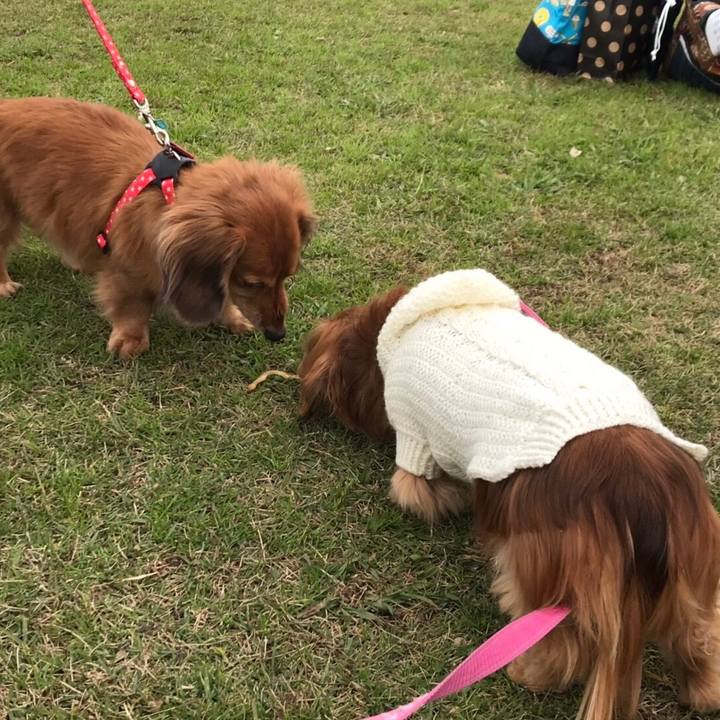 E157df64 1a74 4b23 889b 24cafe329e2e 1543051878541