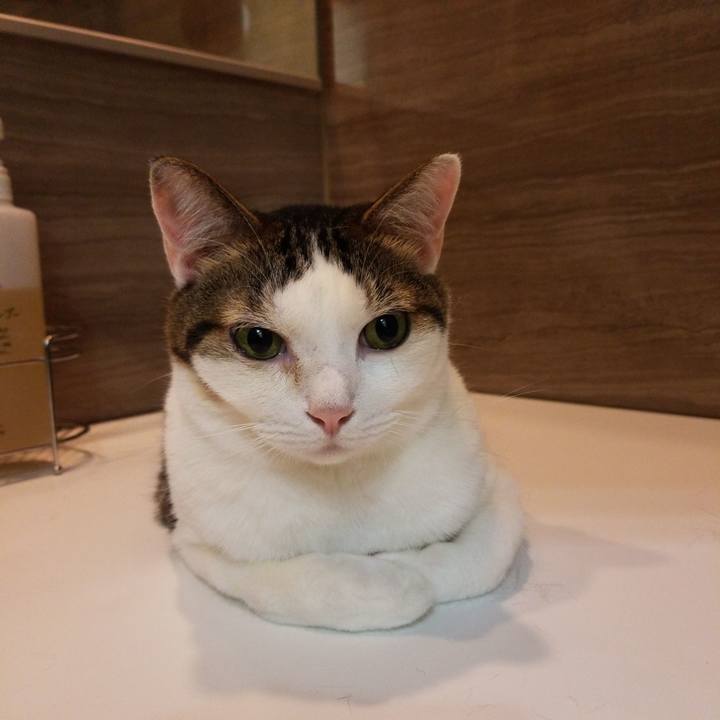 E157e454 4d2e 4006 8a35 d4717101b5e4 1570138970172