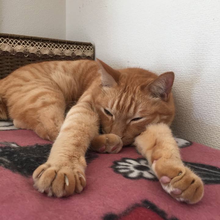 E1584614 7807 4987 8ab1 67a656cf9d96 1556947827711