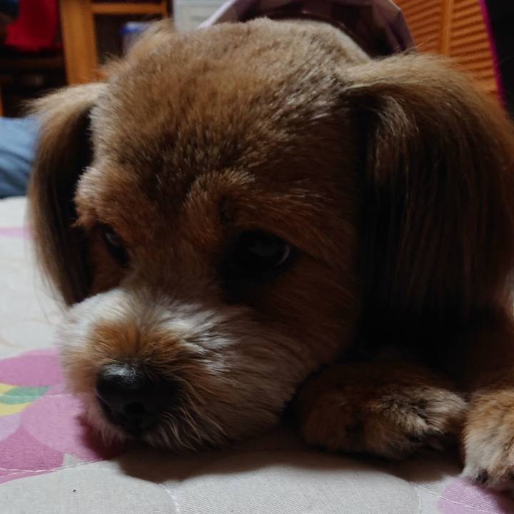 E1586451 5d82 4abf 8404 8bfcc13684e2 1559650934777