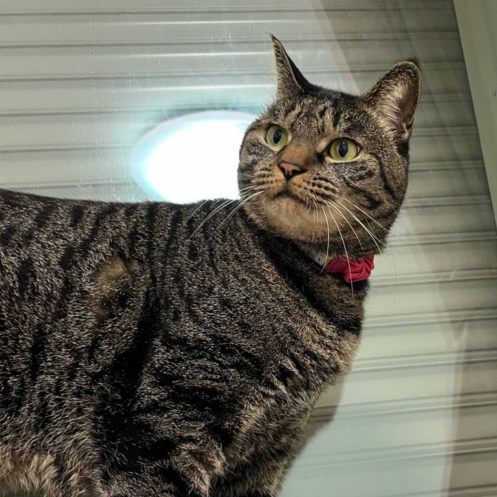 E158a151 cced 4b6d 82b5 b5acf9305691 1766151218485