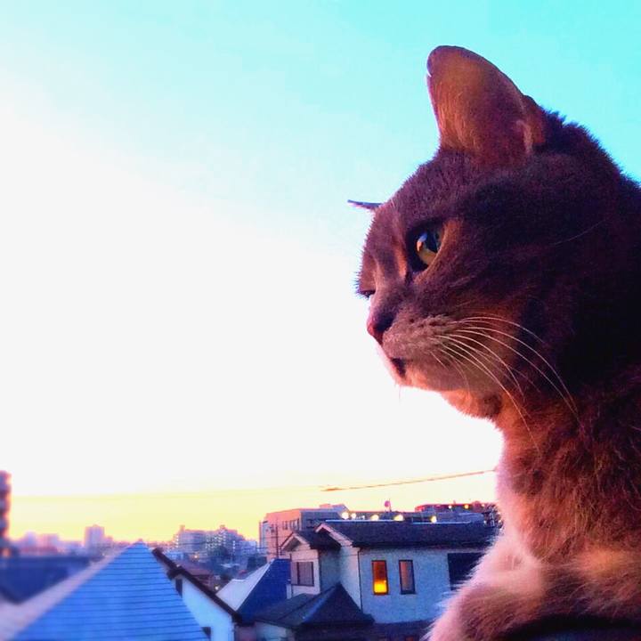 E158a228 a843 4e62 aea8 d0158041e5e2 1512657121451