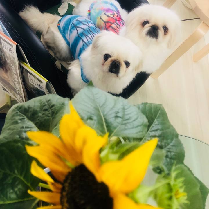 E158a3de 43c0 4c74 ba5b f4c626dc950d 1560499292677