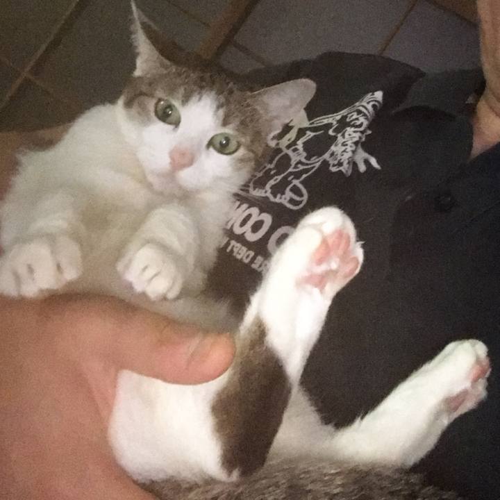 E158a3e4 2017 4cf7 b385 5498b12cfb0a 1660516629367