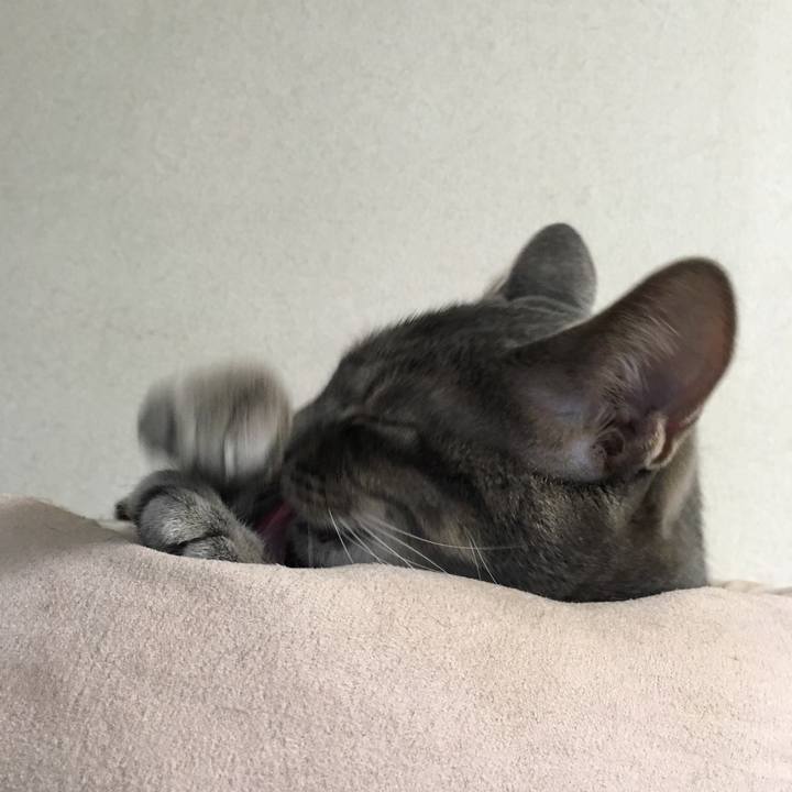 E15947fd 614e 4795 85ac 53fc55a38c26 1573291960248