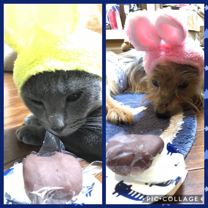 E1597491 cee2 4acf aa57 7d5ec2175d7e 1537779510527