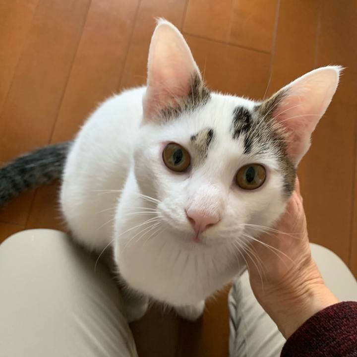 E1599f6e f4ea 4e2c b281 d8dbd8f8944c 1615473870834