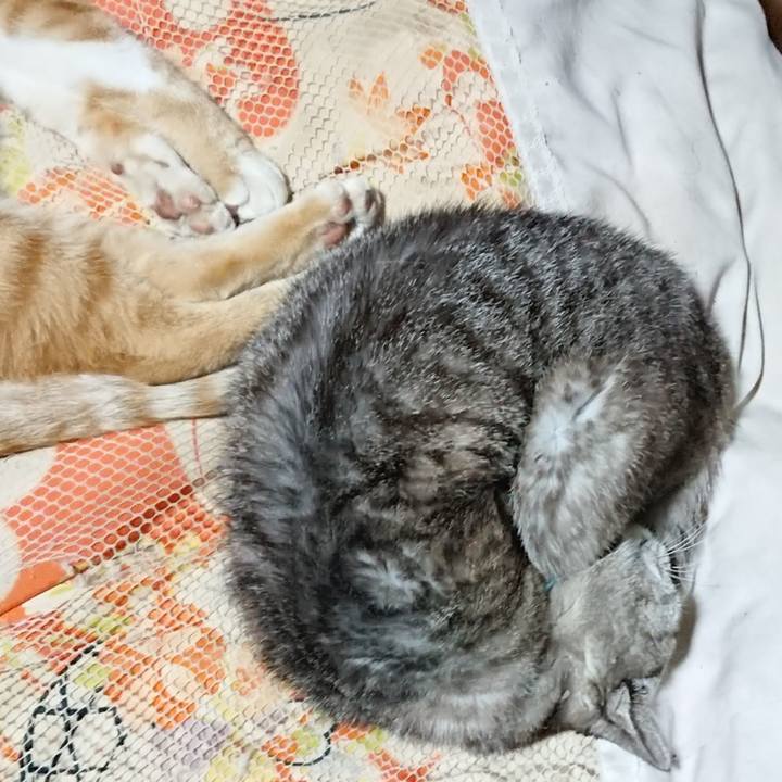 E159cfb3 430e 4c73 856a 9a3d845ff201 1569675320337