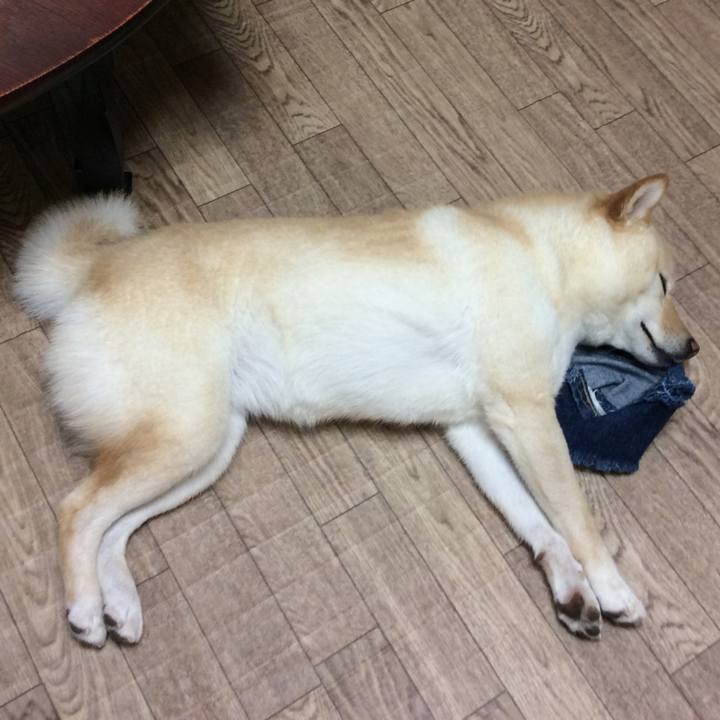 E15a0639 142d 4ddd af7a 1ca81eb357de 1565070375462