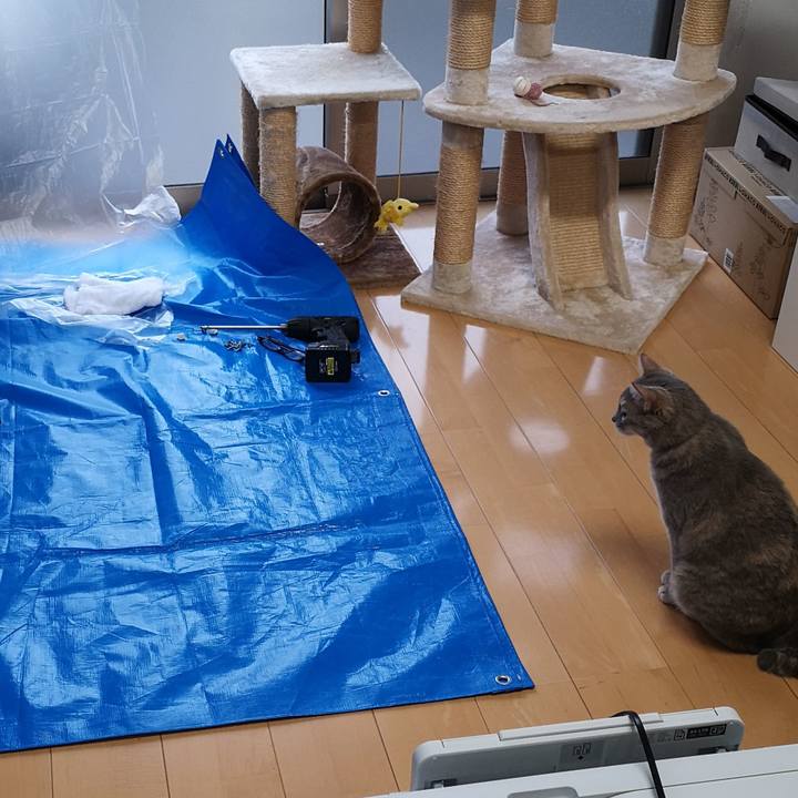 E15a4ded c7d0 4e21 b68f 82d5f414222c 1574653830968