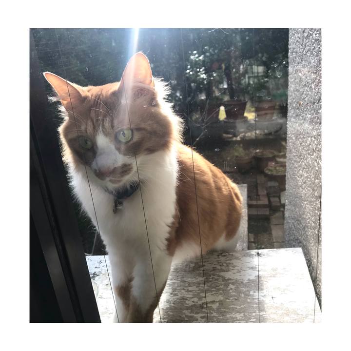 E15a9621 2962 4f3e 8a2f b1e11bf545e8 1646566110952