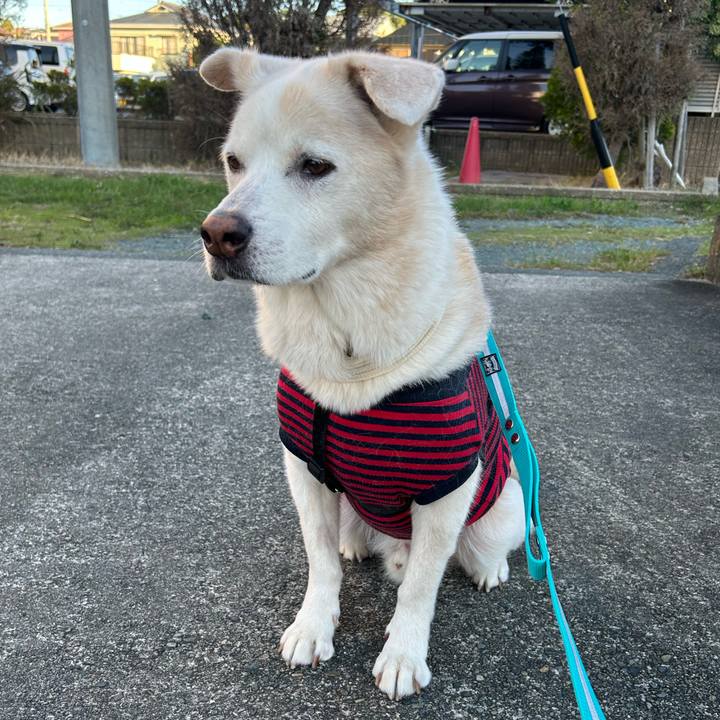 E15a9ef0 dcf9 4a6c be84 0d939585354d 1761604766049