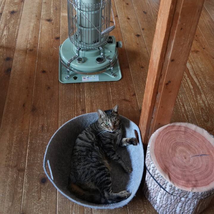 E15aaf77 b8cc 4038 bda8 9504275df9c6 1733009792848