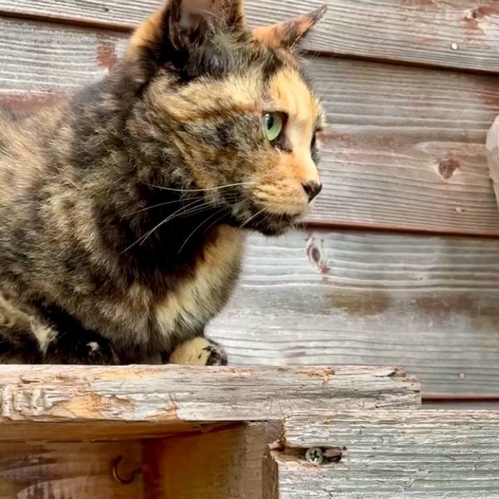 E15acb27 9199 4642 937c 059b627b3cf2 1750214551335