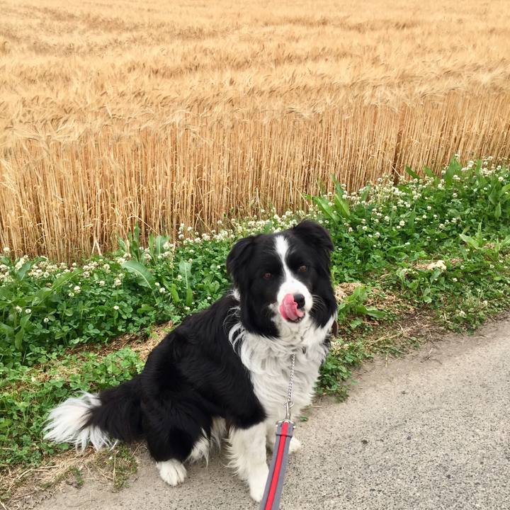 E15ad412 d7ac 4d2b b5cf 94a162153cbd 1557738750421