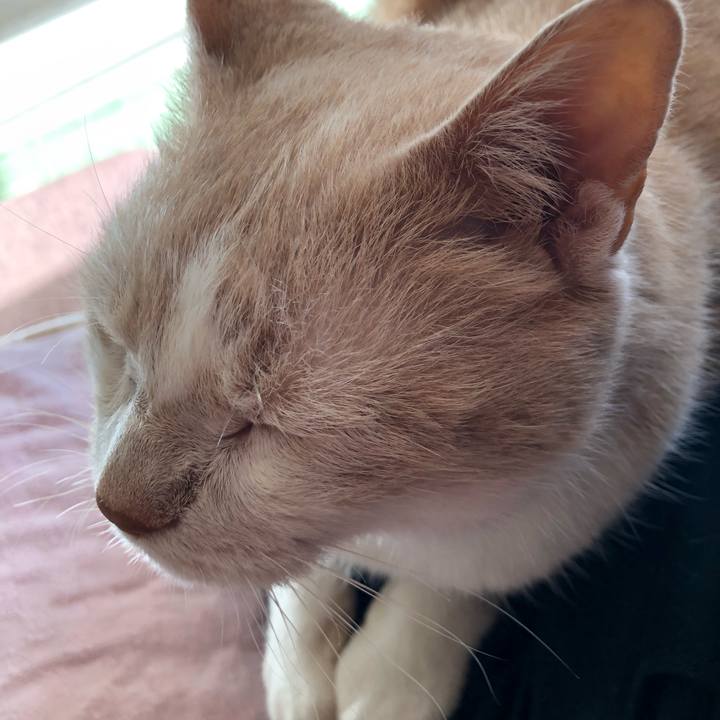 E15af01d c720 40fd 9e75 939665ad3c1a 1626650259423