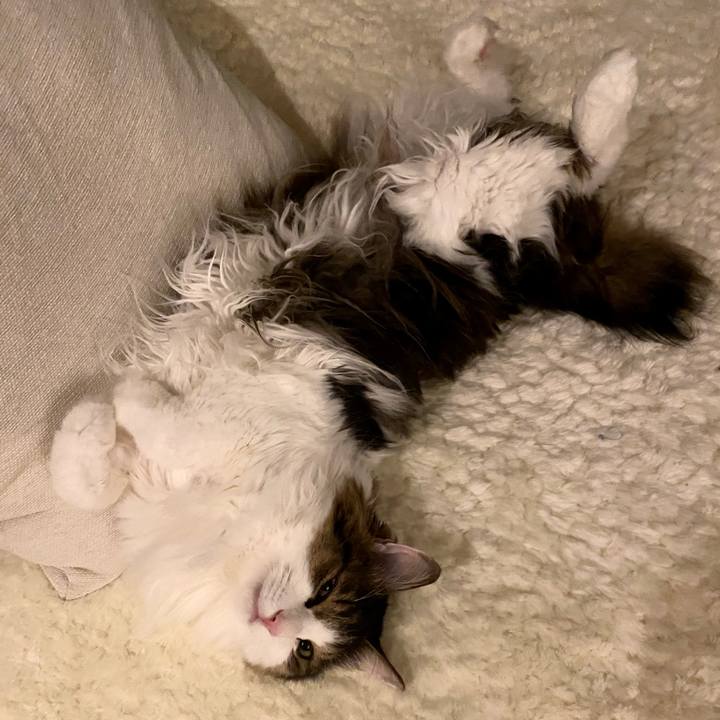 E15af31f 0e96 4d50 aa88 374789ec6bb3 1666735282342