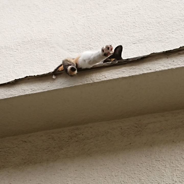 E15afe66 2757 4585 b17a 343b36744637 1588576842953