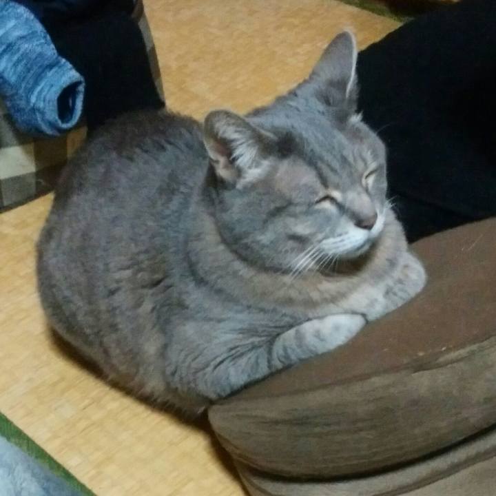 E15b511e 0ddb 4d98 8659 59309f7577e0 1522664351024