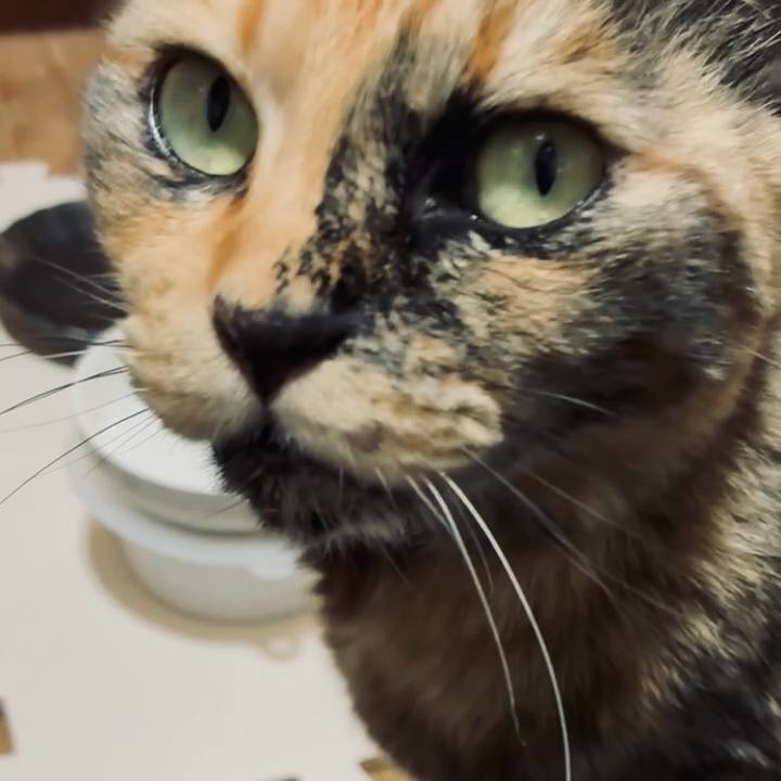 E15b9e2b 7327 480a b9fb 480682685449 1744364201532