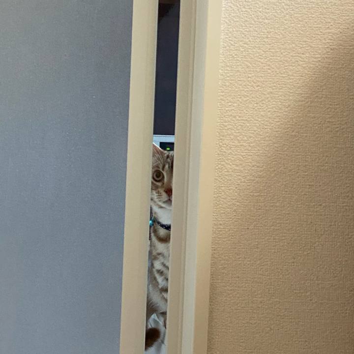 E15bb077 9e2a 4d8b 85c6 2d519878d83d 1608938459657