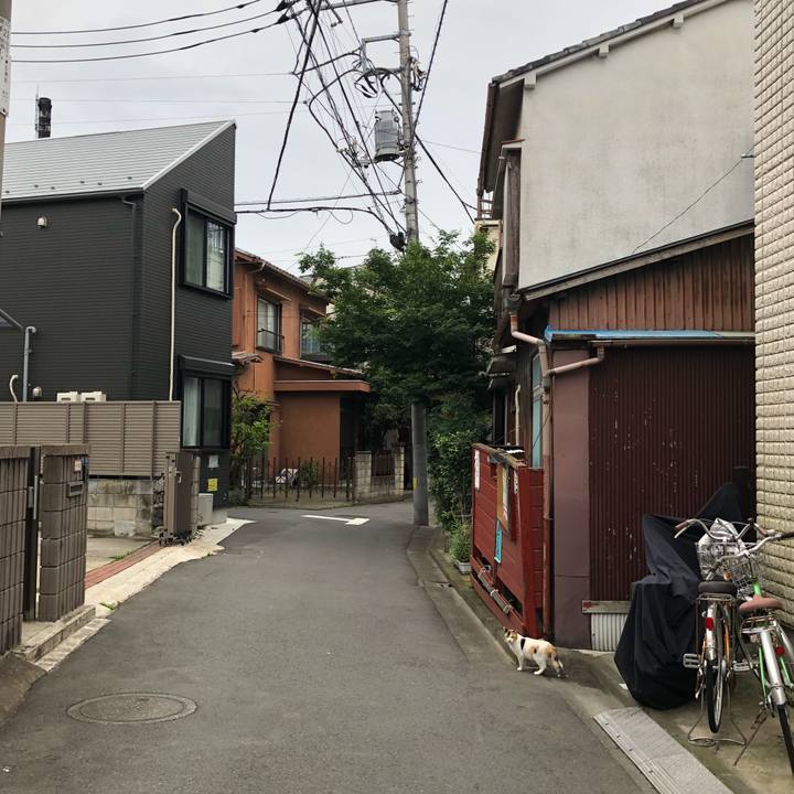 E15bbe07 6484 4662 8f16 88d9f65db7c6 1529261486601