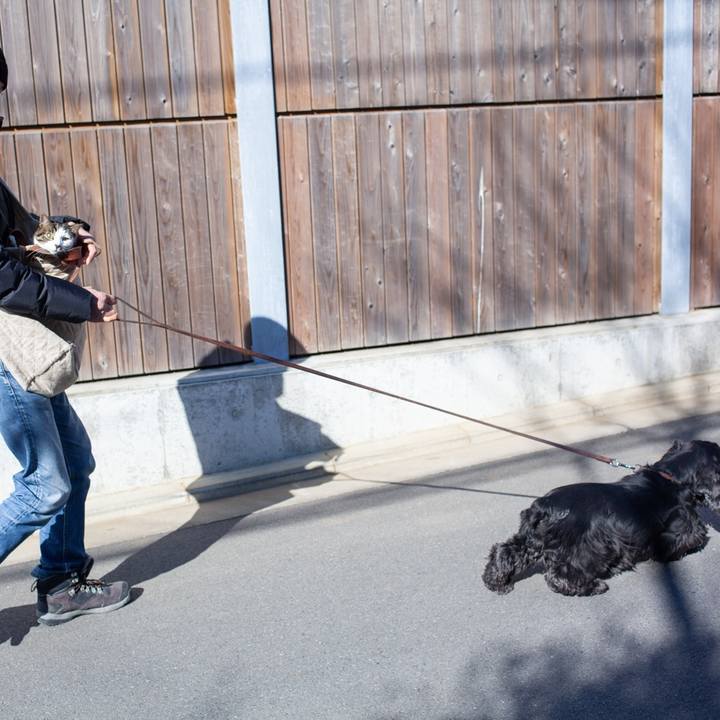 E15bc4c9 c502 4e86 b0a3 3494c94ce72a 1547896505857