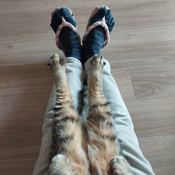 E15bec4c 2048 45f3 b31c 1cecd2eb30fe 1771630826238