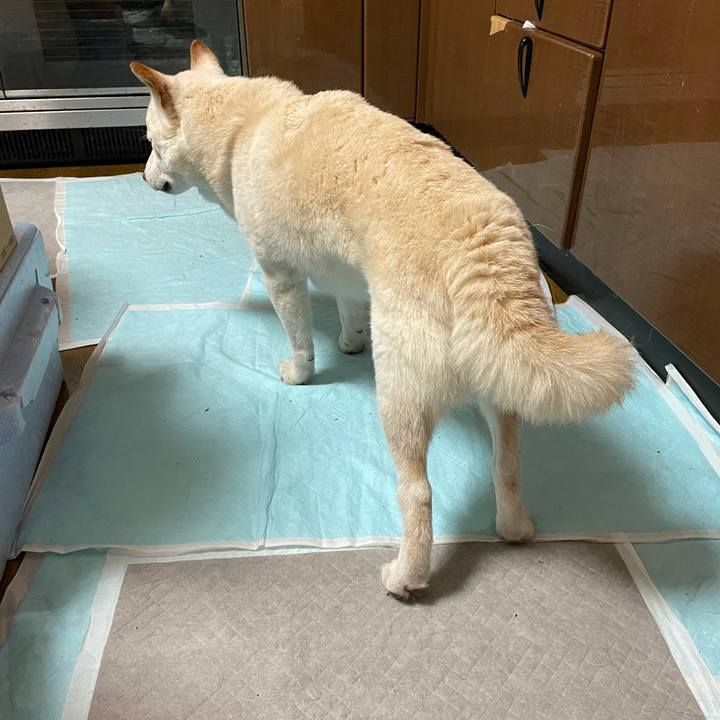 E15bfed5 e8ea 419c 8d7c 7a960ae49539 1634776399752