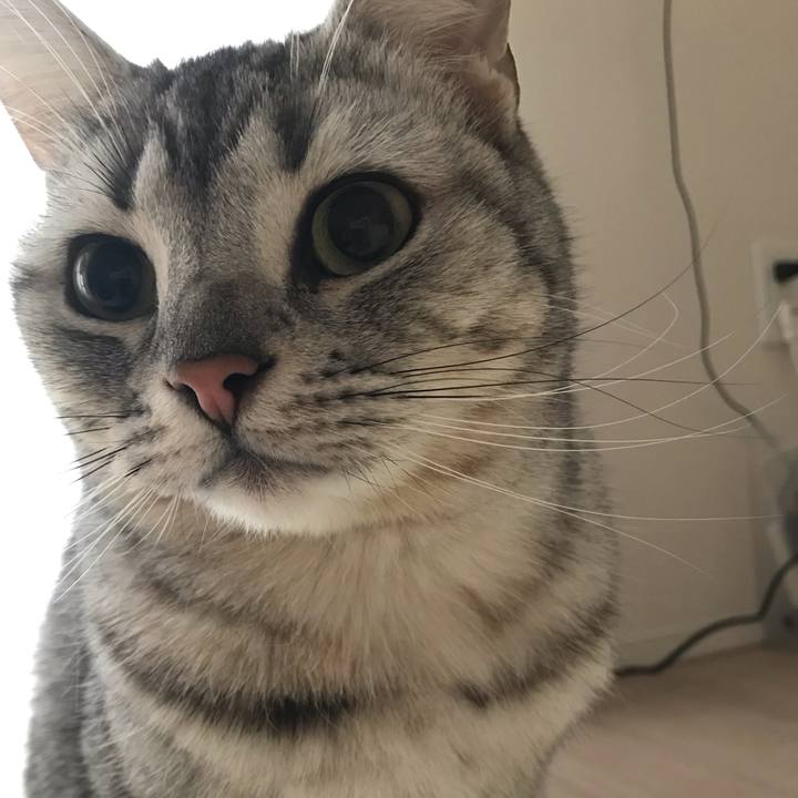 E15c2e05 b076 479c a1e7 fb2e4bec692b 1548544654457