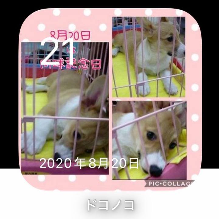 E15c2e0e d109 4ef0 ac78 87d9fec6366a 1787277068989