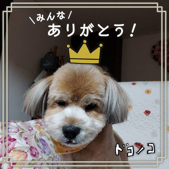 E15c631a c2c1 4fc3 9ff2 d6961245ca42 1623235940256