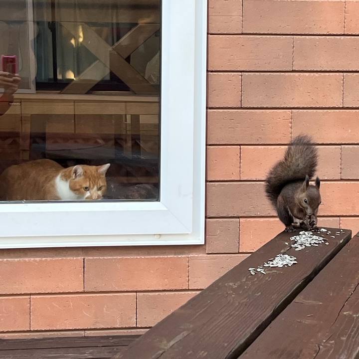 E15c6ad1 e3a8 411c 98df 56190b123e06 1695763635914