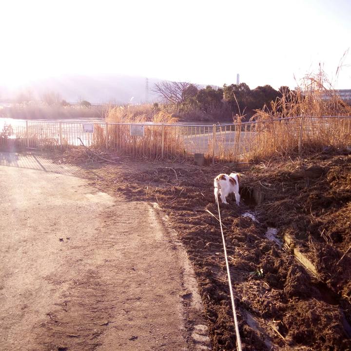 E15c71b4 8795 4fd0 88f4 968193c4d2aa 1516846083384