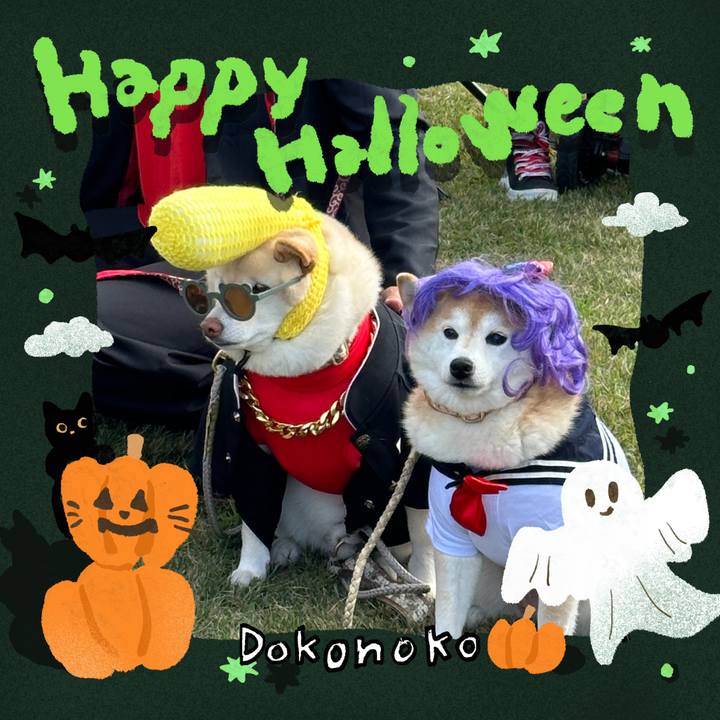 E15c77de 50cd 49fc baef a797c2d7d799 1730294702301