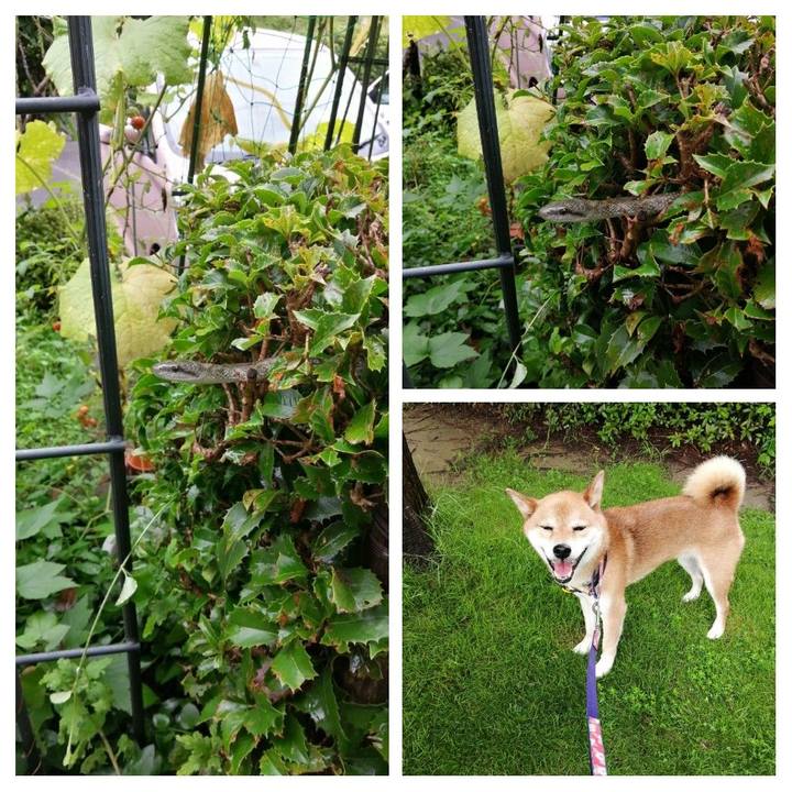 E15c8f42 8d35 4174 8e83 3a348f570fe0 1595638863904