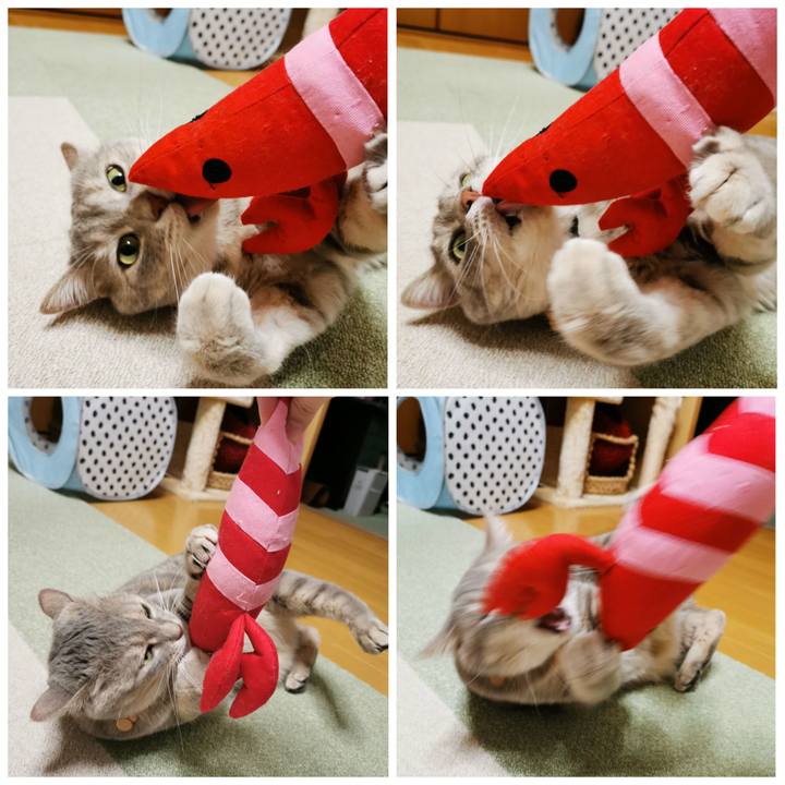 E15c9933 ab25 4d8c 8be8 80a3a92e9489 1626148595860