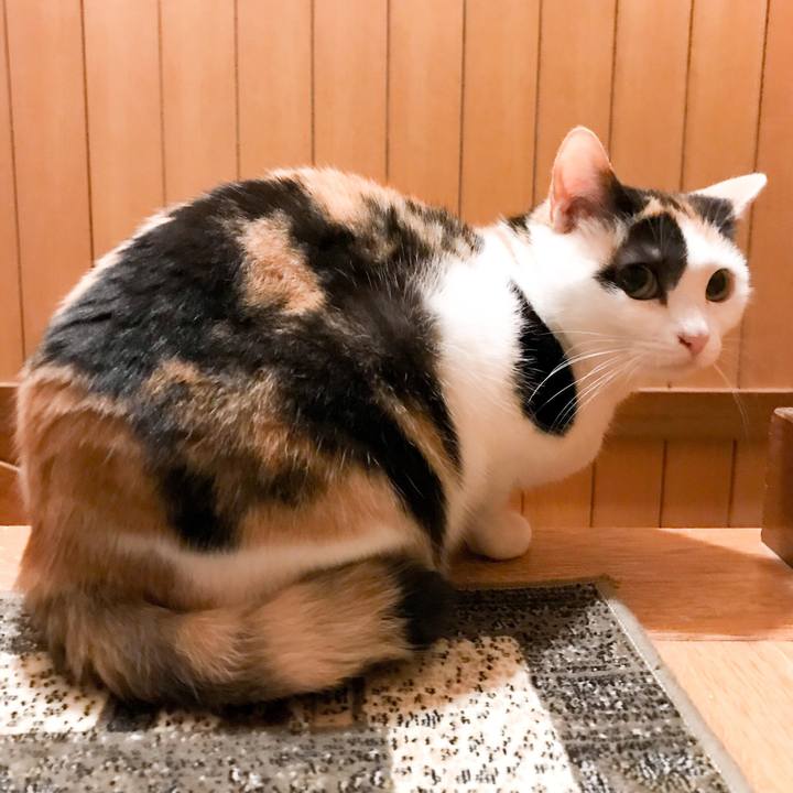 E15ccd8b d248 4902 a0a7 5e2657a3fad7 1523238755359