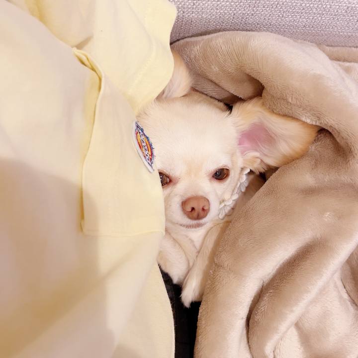 E15ce776 fcdc 43c8 aedb 690e4e0cd40b 1685355418595