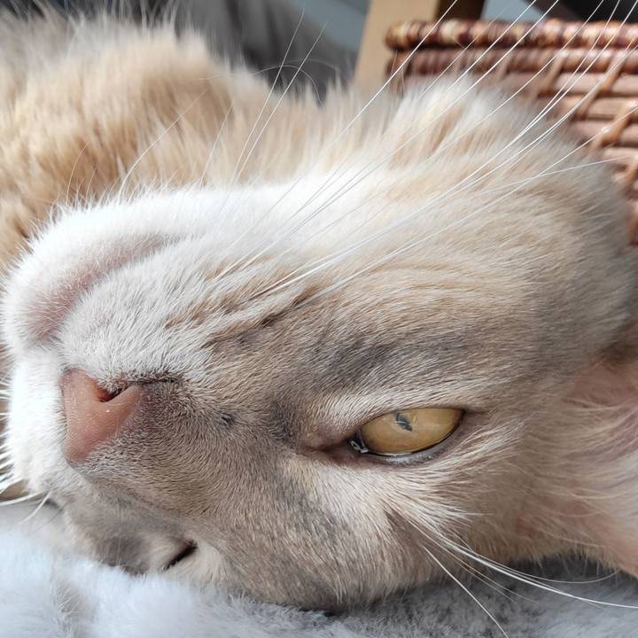 E15d4a1c b4ae 404e 9333 ba27929e7f58 1647170949042