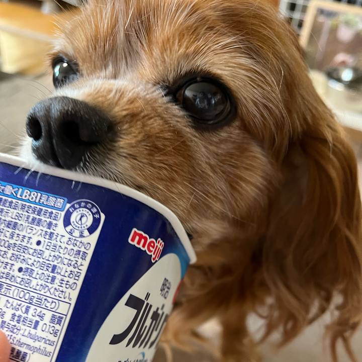 E15d5bfe e368 4ca8 b7ae 48abf159e4dc 1746743299212