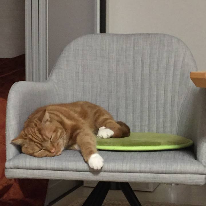 E15d6cc8 bf4e 40d4 a72f f735c016892a 1547079129226