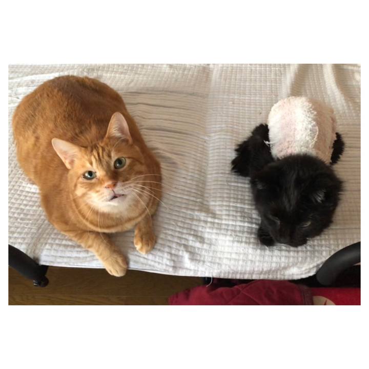 E15d92c9 1958 4aa1 b289 2ee201bf9832 1647035331237