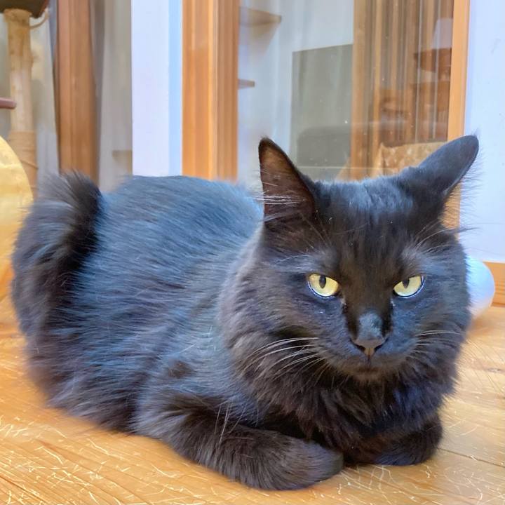 E15d9333 1562 4e91 9596 8807efd517b3 1756549021507