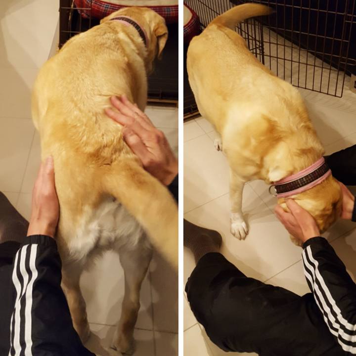 E15d95c1 6af3 4f89 8e2a 248cd86b8a5e 1516539482282