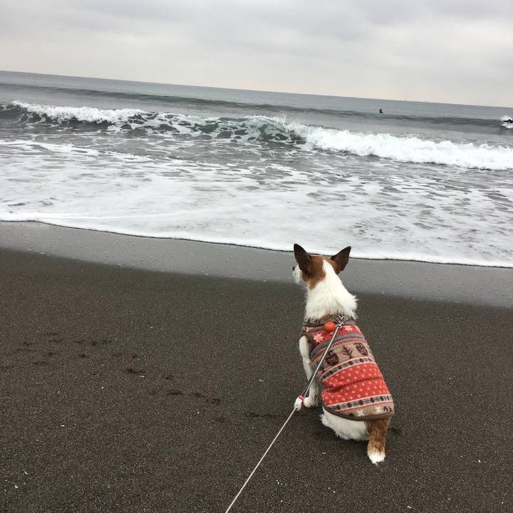 E15df758 2646 4671 9909 727ae96a44e8 1607127198529